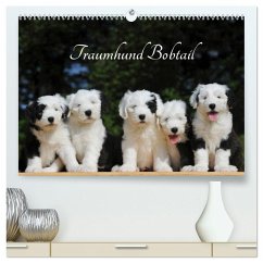 Traumhund Bobtail (hochwertiger Premium Wandkalender 2026 DIN A2 quer), Kunstdruck in Hochglanz