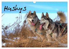 Huskys (Wandkalender 2026 DIN A3 quer), CALVENDO Monatskalender Huskys (Wandkalender 2026 DIN A3 quer), CALVENDO Monatskalender