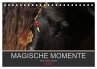 Magische Momente - Pferde Horses... - Bild 1
