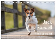 Jack Russell - Klein, aber oho! (Wandkalender 2026 DIN A4 quer), CALVENDO Monatskalender Cover Jack Russell - Klein, aber oho! (Wandkalender 2026 DIN A4 quer), CALVENDO Monatskalender