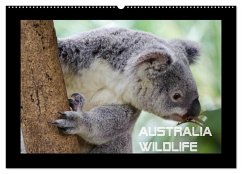Australia Wildlife (Wandkalender 2026 DIN A2 quer), CALVENDO Monatskalender Australia Wildlife (Wandkalender 2026 DIN A2 quer), CALVENDO Monatskalender