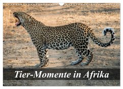 Cover Tier-Momente in Afrika (Wandkalender 2026 DIN A3 quer), CALVENDO Monatskalender