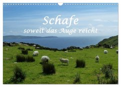 Schafe - soweit das Auge reicht (Wandkalender 2026 DIN A3 quer), CALVENDO Monatskalender