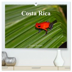 Cover Costa Rica (hochwertiger Premium Wandkalender 2026 DIN A2 quer), Kunstdruck in Hochglanz