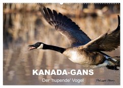 Cover KANADA-GANS - Der 'hupende' Vogel (Wandkalender 2026 DIN A2 quer), CALVENDO Monatskalender