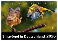 Singvögel in Deutschland (Tischkalender 2026 DIN A5 quer), CALVENDO Monatskalender