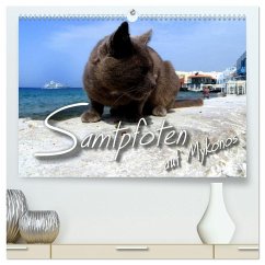SAMTPFOTEN auf Mykonos (hochwertiger Premium Wandkalender 2026 DIN A2 quer), Kunstdruck in Hochglanz