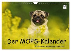 Der MOPS-Kalender (Wandkalender 2026 DIN A4 quer), CALVENDO Monatskalender Der MOPS-Kalender (Wandkalender 2026 DIN A4 quer), CALVENDO Monatskalender