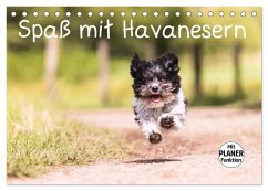 Spaß mit Havanesern (Tischkalender 2026 DIN A5 quer), CALVENDO Monatskalender Spaß mit Havanesern (Tischkalender 2026 DIN A5 quer), CALVENDO Monatskalender