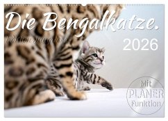 Cover Die Bengalkatze. Edition Jungtiere (Wandkalender 2026 DIN A2 quer), CALVENDO Monatskalender