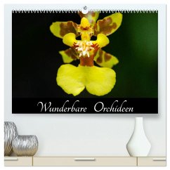 Wunderbare Orchideen (hochwertiger Premium Wandkalender 2026 DIN A2 quer), Kunstdruck in Hochglanz
