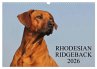 Rhodesian Ridgeback 2026 (Wandkalender... - Bild 1