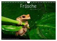 Frösche (Wandkalender 2026 DIN A4 quer), CALVENDO Monatskalender Frösche (Wandkalender 2026 DIN A4 quer), CALVENDO Monatskalender