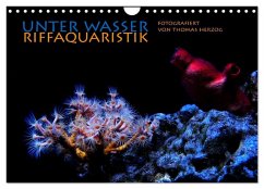 UNTER WASSER Riffaquaristik (Wandkalender 2026 DIN A4 quer), CALVENDO Monatskalender UNTER WASSER Riffaquaristik (Wandkalender 2026 DIN A4 quer), CALVENDO Monatskalender