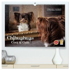 Chihuahuas - Cool and Cute (hochwertiger Premium Wandkalender 2026 DIN A2 quer), Kunstdruck in Hochglanz Chihuahuas - Cool and Cute (hochwertiger Premium Wandkalender 2026 DIN A2 quer), Kunstdruck in Hochglanz