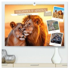 TIERWELT AFRIKA Faszination Wildnis (hochwertiger Premium Wandkalender 2026 DIN A2 quer), Kunstdruck in Hochglanz