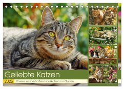Geliebte Katzen. Unsere zauberhaften Hauskatzen im Garten (Tischkalender 2026 DIN A5 quer), CALVENDO Monatskalender Geliebte Katzen. Unsere zauberhaften Hauskatzen im Garten (Tischkalender 2026 DIN A5 quer), CALVENDO Monatskalender