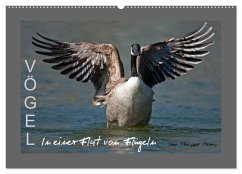 Cover VÖGEL (Wandkalender 2026 DIN A2 quer), CALVENDO Monatskalender