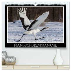 Cover Mandschurenkraniche (hochwertiger Premium Wandkalender 2026 DIN A2 quer), Kunstdruck in Hochglanz