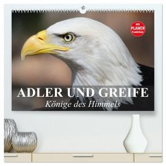 Adler und Greife. Könige des Himmels (hochwertiger Premium Wandkalender 2026 DIN A2 quer), Kunstdruck in Hochglanz
