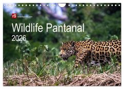 Cover Wildlife Pantanal 2026 (Wandkalender 2026 DIN A4 quer), CALVENDO Monatskalender