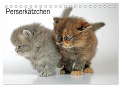 Cover Perserkätzchen / CH-Version (Tischkalender 2026 DIN A5 quer), CALVENDO Monatskalender