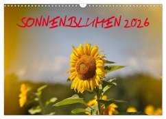 Sonnenblumen 2026 (Wandkalender 2026 DIN A3 quer), CALVENDO Monatskalender