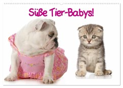 Süße Tier-Babys! (Wandkalender 2026 DIN A2 quer), CALVENDO Monatskalender