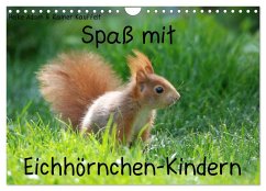 Spaß mit Eichhörnchen-Kindern (Wandkalender 2026 DIN A4 quer), CALVENDO Monatskalender Spaß mit Eichhörnchen-Kindern (Wandkalender 2026 DIN A4 quer), CALVENDO Monatskalender