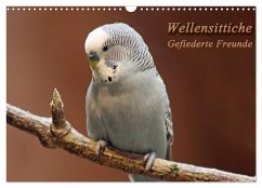 Cover Wellensittiche - Gefiederte Freunde (Wandkalender 2026 DIN A3 quer), CALVENDO Monatskalender