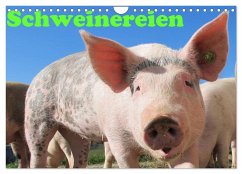 Cover Schweinereien (Wandkalender 2026 DIN A4 quer), CALVENDO Monatskalender