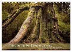 Märchenhafter Reinhardswald und Urwald Sababurg (Wandkalender 2026 DIN A3 quer), CALVENDO Monatskalender Märchenhafter Reinhardswald und Urwald Sababurg (Wandkalender 2026 DIN A3 quer), CALVENDO Monatskalender