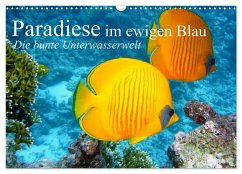 Paradiese im ewigen Blau. Die bunte Unterwasserwelt (Wandkalender 2026 DIN A3 quer), CALVENDO Monatskalender