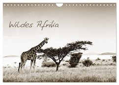 Wildes Afrika (Wandkalender 2026 DIN A4 quer), CALVENDO Monatskalender Wildes Afrika (Wandkalender 2026 DIN A4 quer), CALVENDO Monatskalender