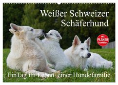 Weißer Schweizer Schäferhund - Ein Tag im Leben einer Hundefamilie (Wandkalender 2026 DIN A2 quer), CALVENDO Monatskalender Weißer Schweizer Schäferhund - Ein Tag im Leben einer Hundefamilie (Wandkalender 2026 DIN A2 quer), CALVENDO Monatskalender