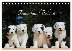 Traumhund Bobtail (Tischkalender 2026 DIN A5 quer), CALVENDO Monatskalender