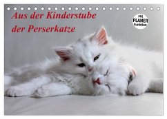 Cover Aus der Kinderstube der Perserkatze (Tischkalender 2026 DIN A5 quer), CALVENDO Monatskalender