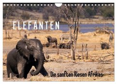 Elefanten - Die sanften Riesen Afrikas (Wandkalender 2026 DIN A4 quer), CALVENDO Monatskalender