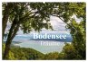 Bodensee Träume (Wandkalender 2026 DIN... - Bild 1