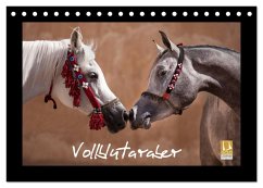 Vollblutaraber (Tischkalender 2026 DIN A5 quer), CALVENDO Monatskalender