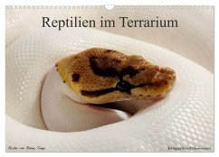 REPTILIEN IM TERRARIUM (Wandkalender 2026 DIN A3 quer), CALVENDO Monatskalender REPTILIEN IM TERRARIUM (Wandkalender 2026 DIN A3 quer), CALVENDO Monatskalender