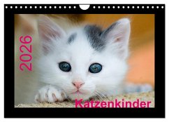 Cover Katzenkinder (Wandkalender 2026 DIN A4 quer), CALVENDO Monatskalender