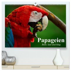 Papageien. Bunt, laut und klug (hochwertiger Premium Wandkalender 2026 DIN A2 quer), Kunstdruck in Hochglanz