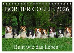 Cover Border Collie 2026 (Tischkalender 2026 DIN A5 quer), CALVENDO Monatskalender