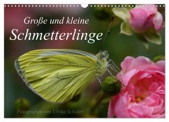 Große und kleine Schmetterlinge (Wandkalender 2026 DIN A3 quer), CALVENDO Monatskalender Große und kleine Schmetterlinge (Wandkalender 2026 DIN A3 quer), CALVENDO Monatskalender