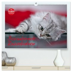 Bezaubernde Rassekatzen (hochwertiger Premium Wandkalender 2026 DIN A2 quer), Kunstdruck in Hochglanz