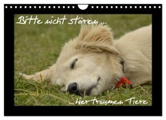 Cover Bitte nicht stören... hier träumen Tiere (Wandkalender 2026 DIN A4 quer), CALVENDO Monatskalender