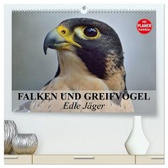 Falken und Greifvögel - Edle Jäger (hochwertiger Premium Wandkalender 2026 DIN A2 quer), Kunstdruck in Hochglanz