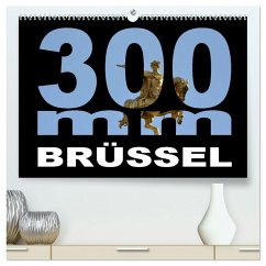 300mm - Brüssel (hochwertiger Premium Wandkalender 2026 DIN A2 quer), Kunstdruck in Hochglanz 300mm - Brüssel (hochwertiger Premium Wandkalender 2026 DIN A2 quer), Kunstdruck in Hochglanz