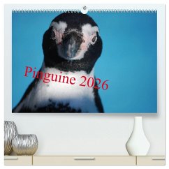 Cover Pinguine 2026 (hochwertiger Premium Wandkalender 2026 DIN A2 quer), Kunstdruck in Hochglanz